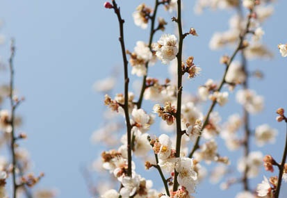 201102261119-DSC01027.jpg