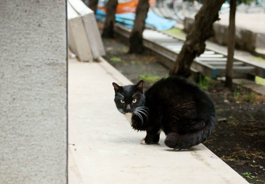 201103011436-DSC01840.jpg