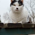 201103011446-DSC01851.jpg