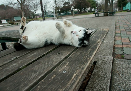 201103011526-DSC01921.jpg