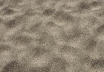 201103021249-DSC01954.jpg