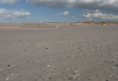 201103021311-DSC02008.jpg