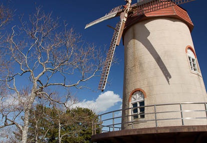 201103021338-DSC02016.jpg