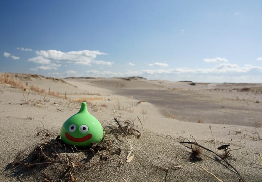 201103021348-DSC02023.jpg