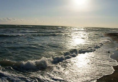 201103021637-DSC02157.jpg
