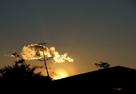 201103021728-DSC02232.jpg