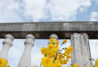 201103031317-DSC02297.jpg