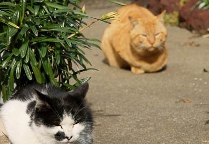 201103031420-DSC02480.jpg
