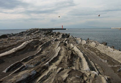 201103031426-DSC02488.jpg