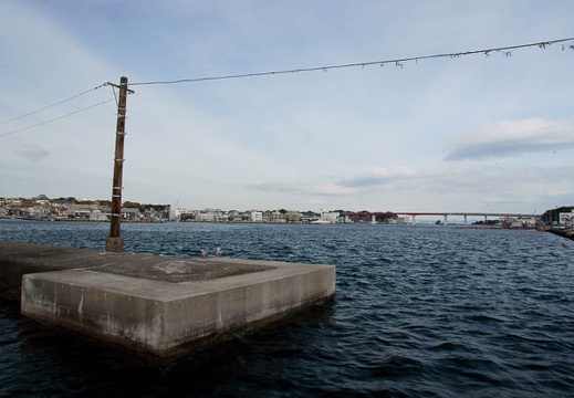 201103031441-DSC02552.jpg
