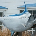 201103031451-DSC02569.jpg