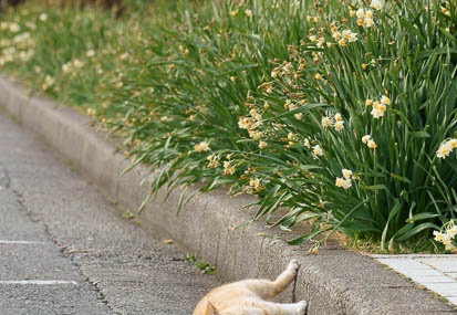 201103031513-DSC02609.jpg