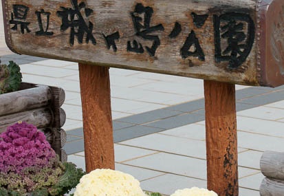 201103031516-DSC02620.jpg