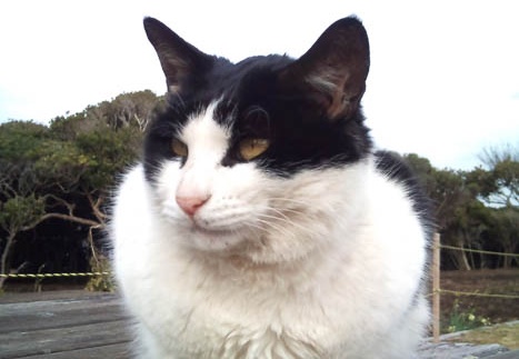 20110303152445-SO-01B.jpg
