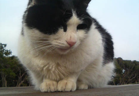20110303152510-SO902i.jpg