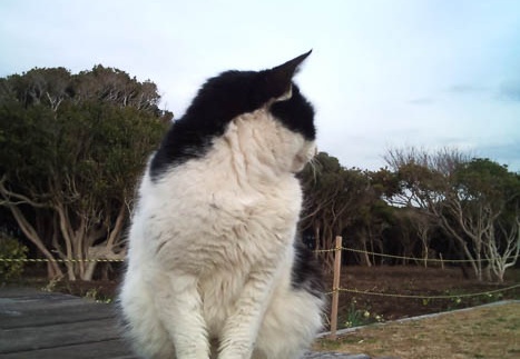 20110303152528-SO-01B.jpg