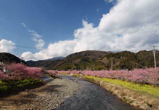 201103041444-DSC02785.jpg