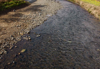 201103041444-DSC02786.jpg