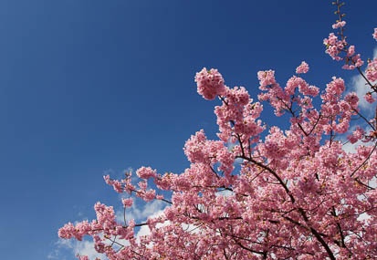 201103041446-DSC02791.jpg