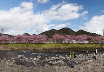 201103041455-DSC02807.jpg