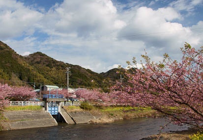 201103041510-DSC02834.jpg