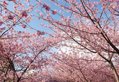 201103041516-DSC02847.jpg