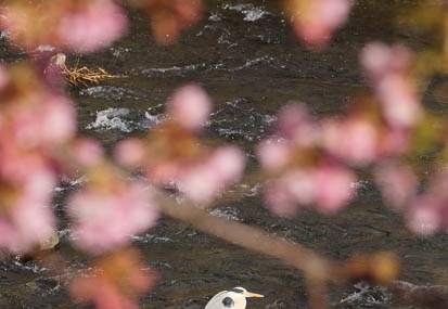 201103041530-DSC02886.jpg