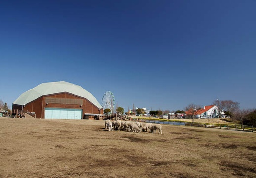 201103051032-DSC03111.jpg