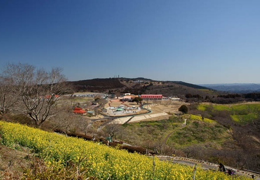 201103051047-DSC03135.jpg