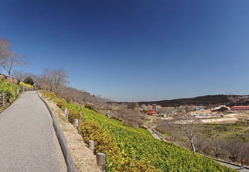 201103051054-DSC03155.jpg