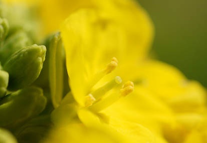 201103051138-DSC03290.jpg