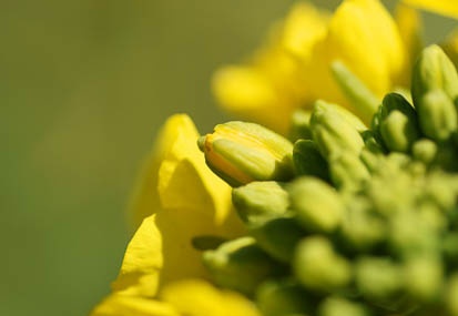 201103051139-DSC03295.jpg