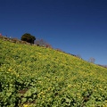 201103051143-DSC03305.jpg