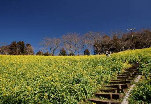 201103051235-DSC03422.jpg