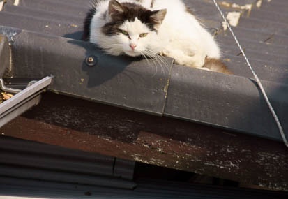 201103081355-DSC03710.jpg