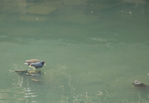 201103081418-DSC03780.jpg