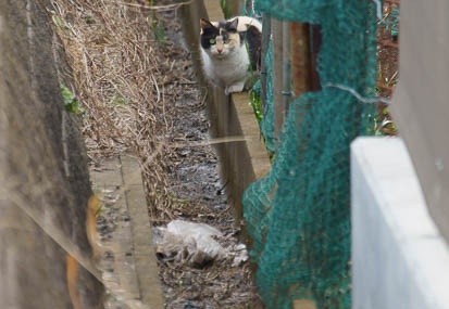 201103081501-DSC03865.jpg