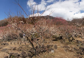 201103091236-DSC04070.jpg