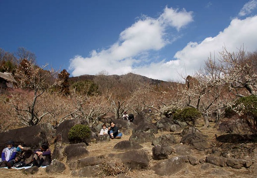 201103091238-DSC04074.jpg