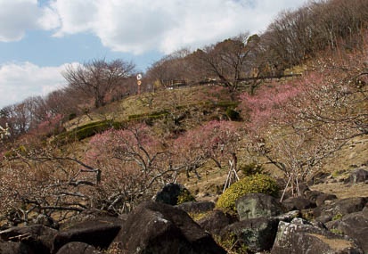 201103091239-DSC04075.jpg