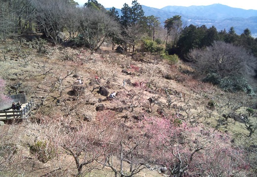 20110309125223-SO-01B.jpg