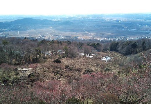 20110309125235-SO-01B.jpg