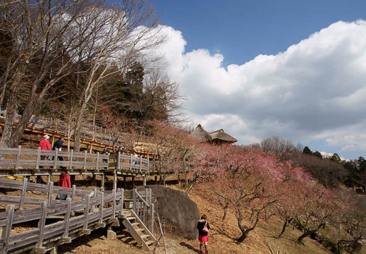 201103091301-DSC04109.jpg