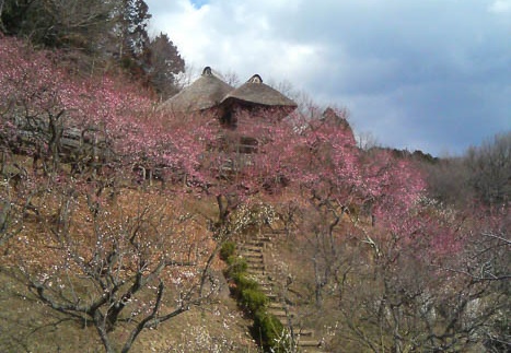 20110309130706-SO902i.jpg