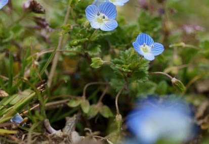 201103091316-DSC04162.jpg