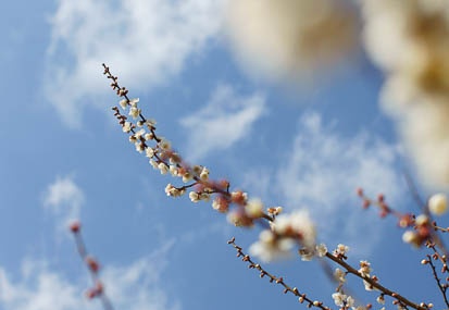 201103091342-DSC04225.jpg