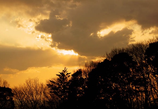 201103091709-DSC04495.jpg