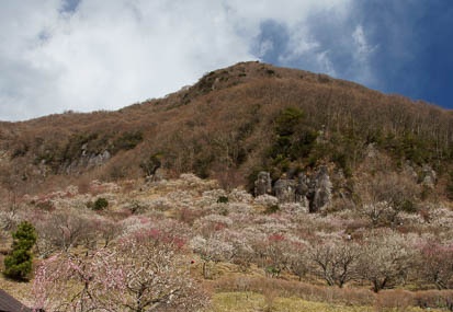201103101106-DSC04553.jpg