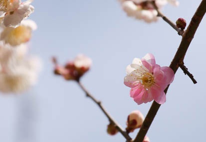 201103101125-DSC04586.jpg