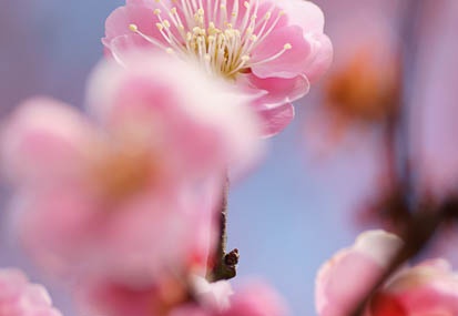 201103101133-DSC04596.jpg